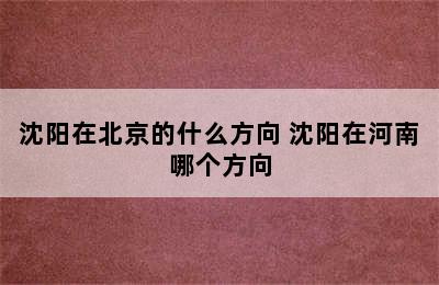 沈阳在北京的什么方向 沈阳在河南哪个方向